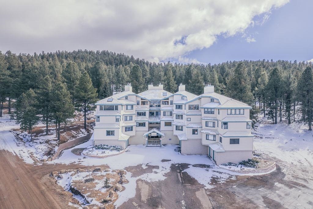 38 Winter Park Lane #214, Angel Fire, New Mexico image 30