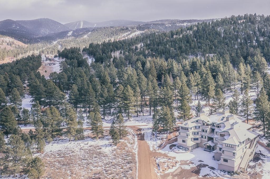 38 Winter Park Lane #214, Angel Fire, New Mexico image 31