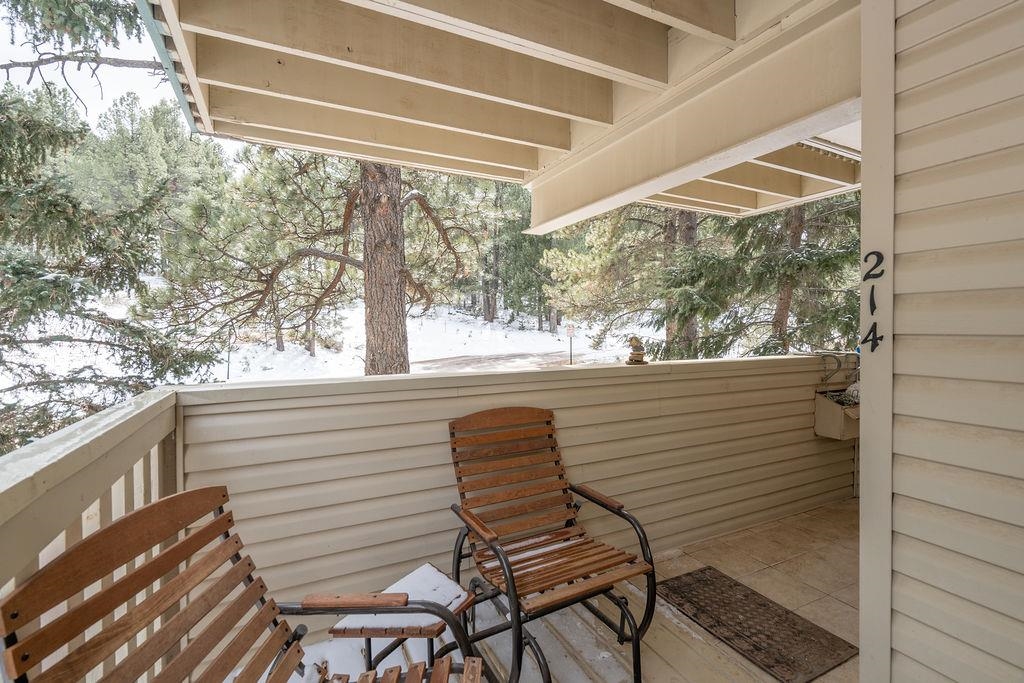 38 Winter Park Lane #214, Angel Fire, New Mexico image 4