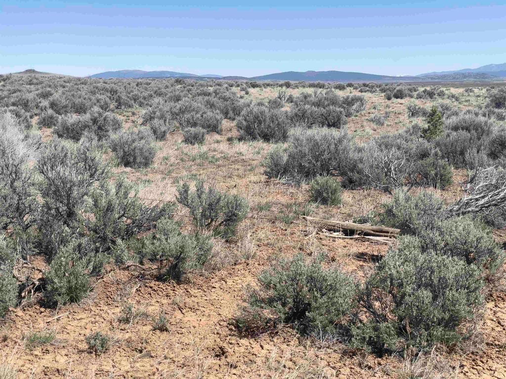 Photo of HWY 285 and FR 551, Tres Piedras, NM 87577 (MLS # 114540)