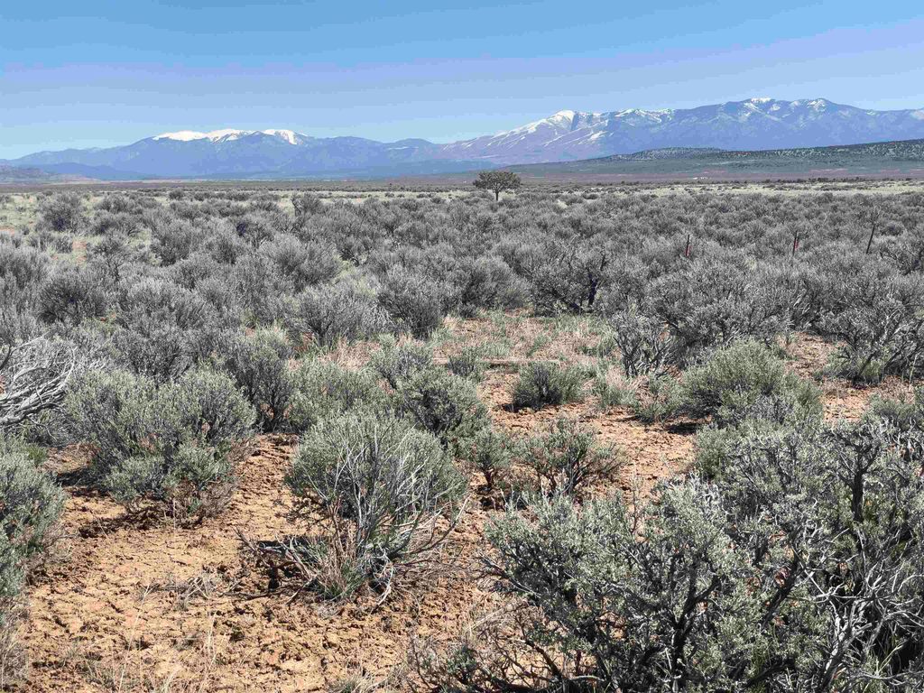 Photo of HWY 285 and FR 551, Tres Piedras, NM 87577 (MLS # 114540)