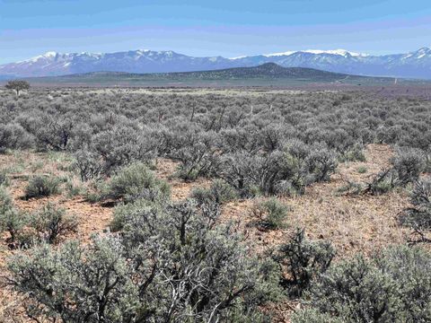 Vacant Land For Sale - Hwy 285 And Fr 551<br/> Tres Piedras, NM 87577