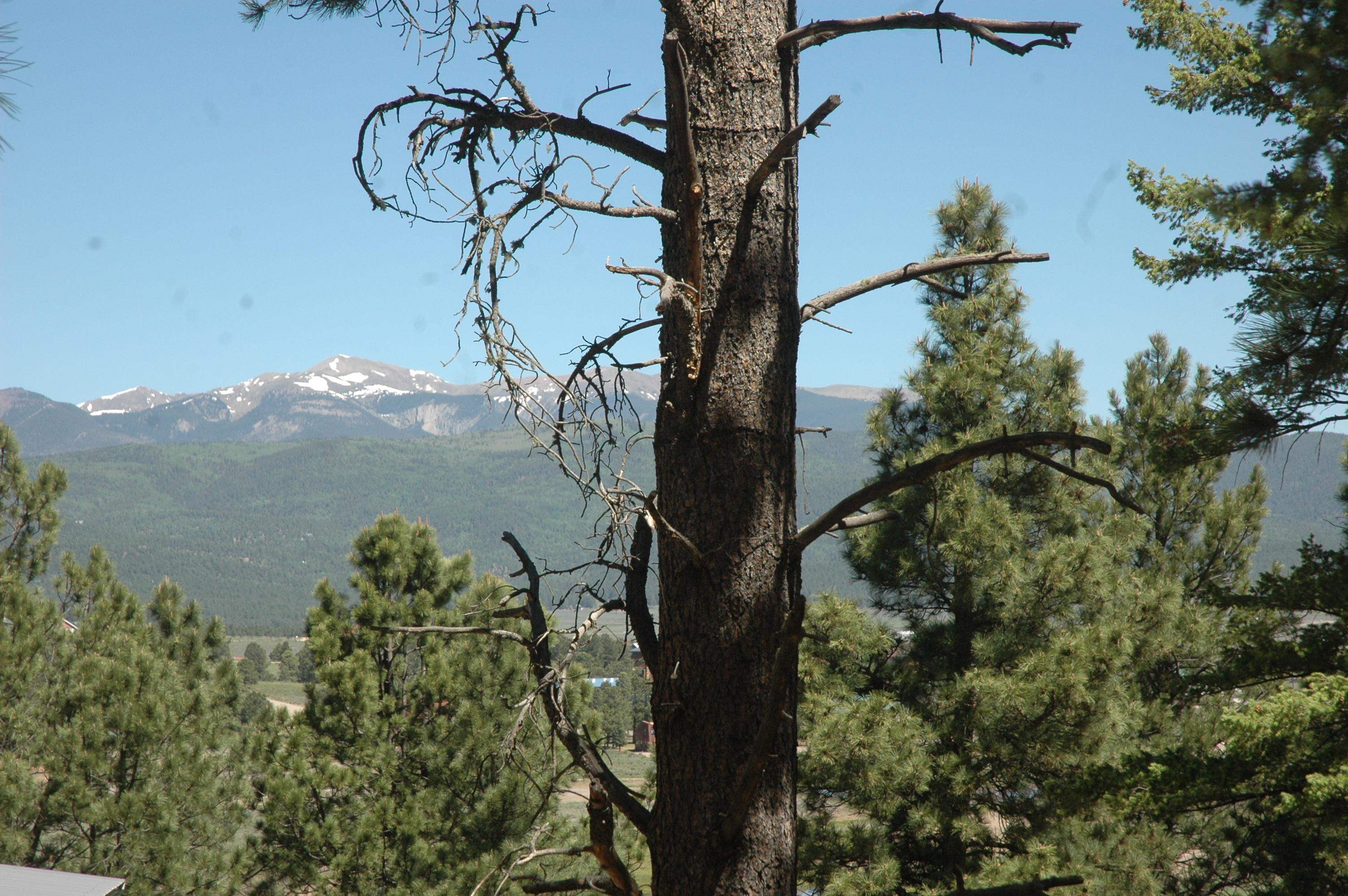 Lot 28 Ch 2e Snowmass Road, Angel Fire, New Mexico image 1