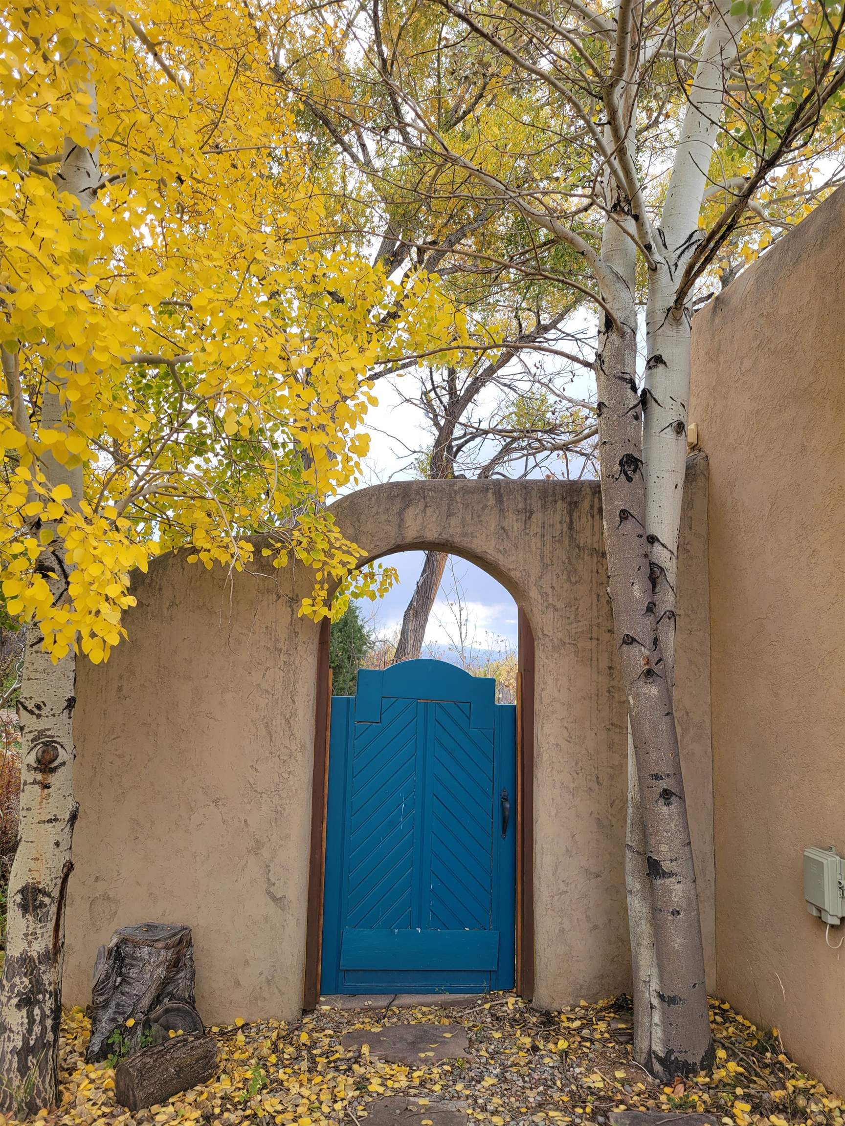 46 Los Altos Rd, Arroyo Seco, New Mexico image 25