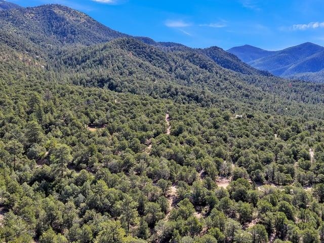 Questa, New Mexico 87556, United States, ,Land,Active,213761