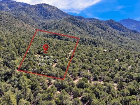Vacant Land For Sale - LOT 83 Upper Pinabete Road<br/> Questa, NM 87556