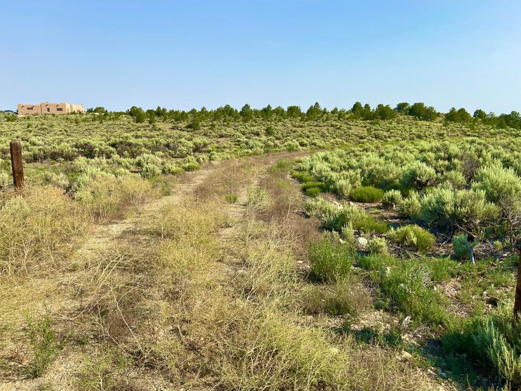 Photo of 137 Los Rios Rd B007, Arroyo Hondo, NM 87513 (MLS # 113796)