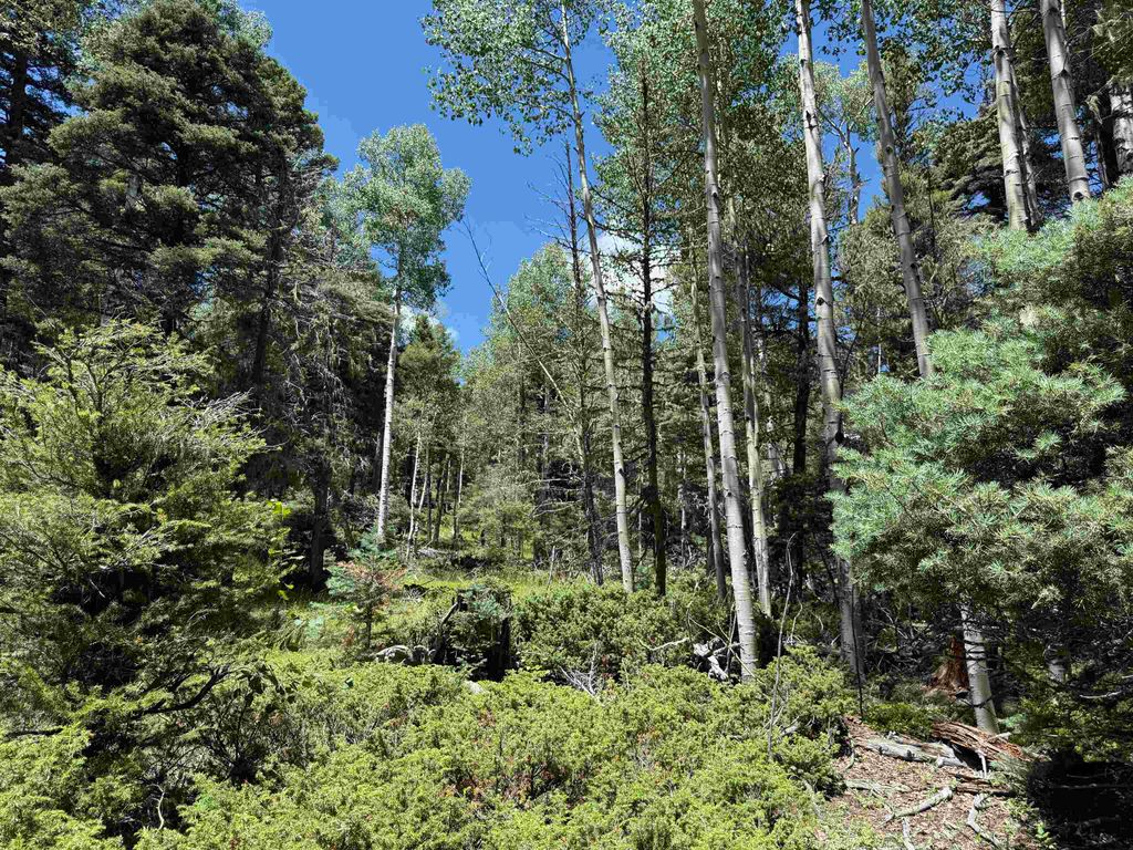 Photo of Lot 100 Zia Road, Angel Fire, NM 87710 (MLS # 113837)