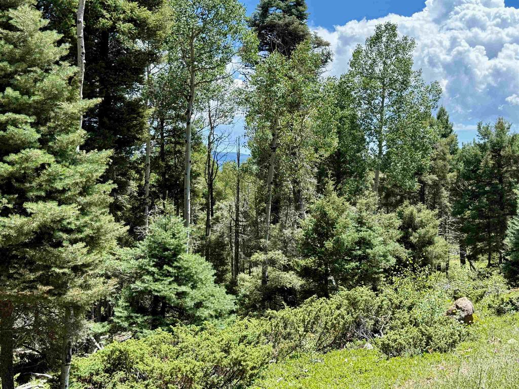Photo of Lot 100 Zia Road, Angel Fire, NM 87710 (MLS # 113837)