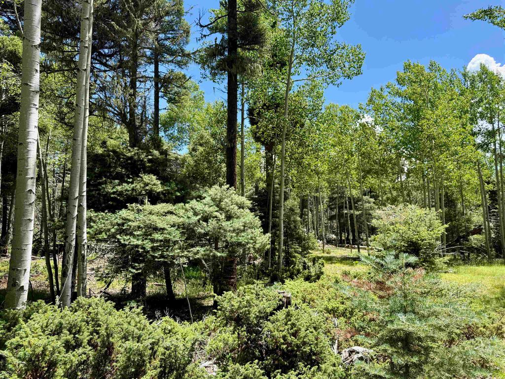 Photo of Lot 100 Zia Road, Angel Fire, NM 87710 (MLS # 113837)