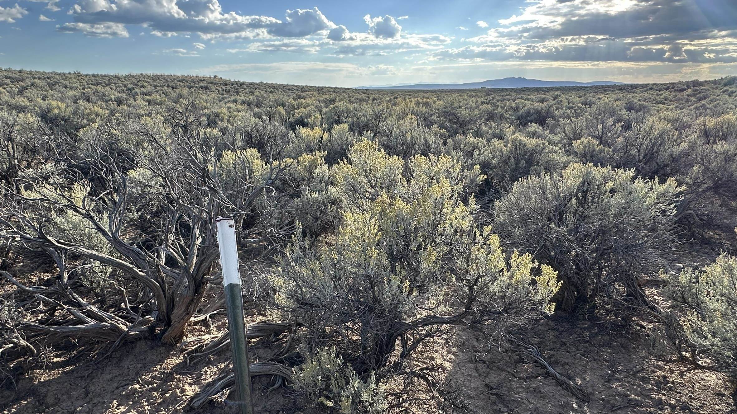 40 Acres Tune Drive, El Prado, New Mexico image 34