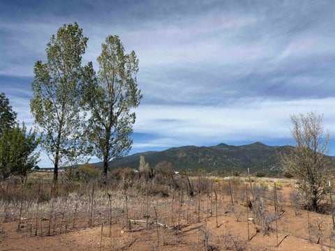 Vacant Land For Sale - 519 Hondo Seco<br/> Arroyo Seco, NM 87529