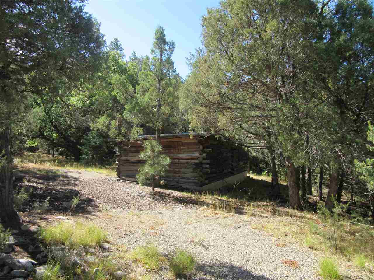 Dh Lawrence Road, San Cristobal, New Mexico image 11