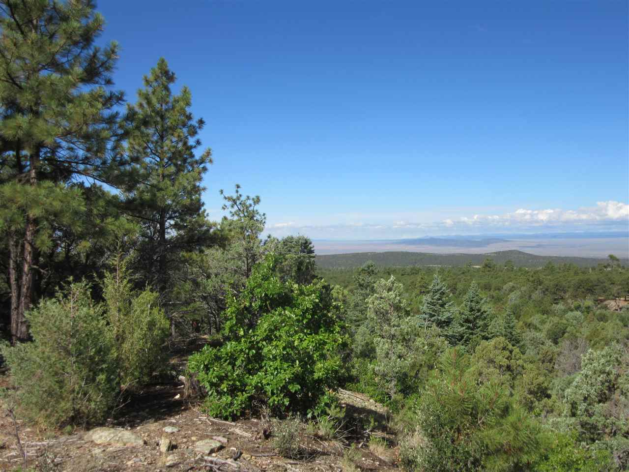 Dh Lawrence Road, San Cristobal, New Mexico image 2