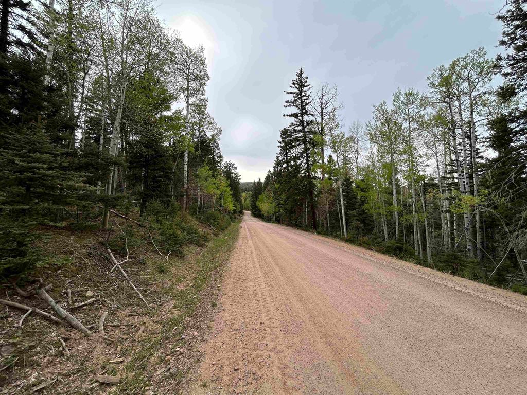 Photo of Lot 132 Rio Grande Terrace, Angel Fire, NM 87710 (MLS # 112692)