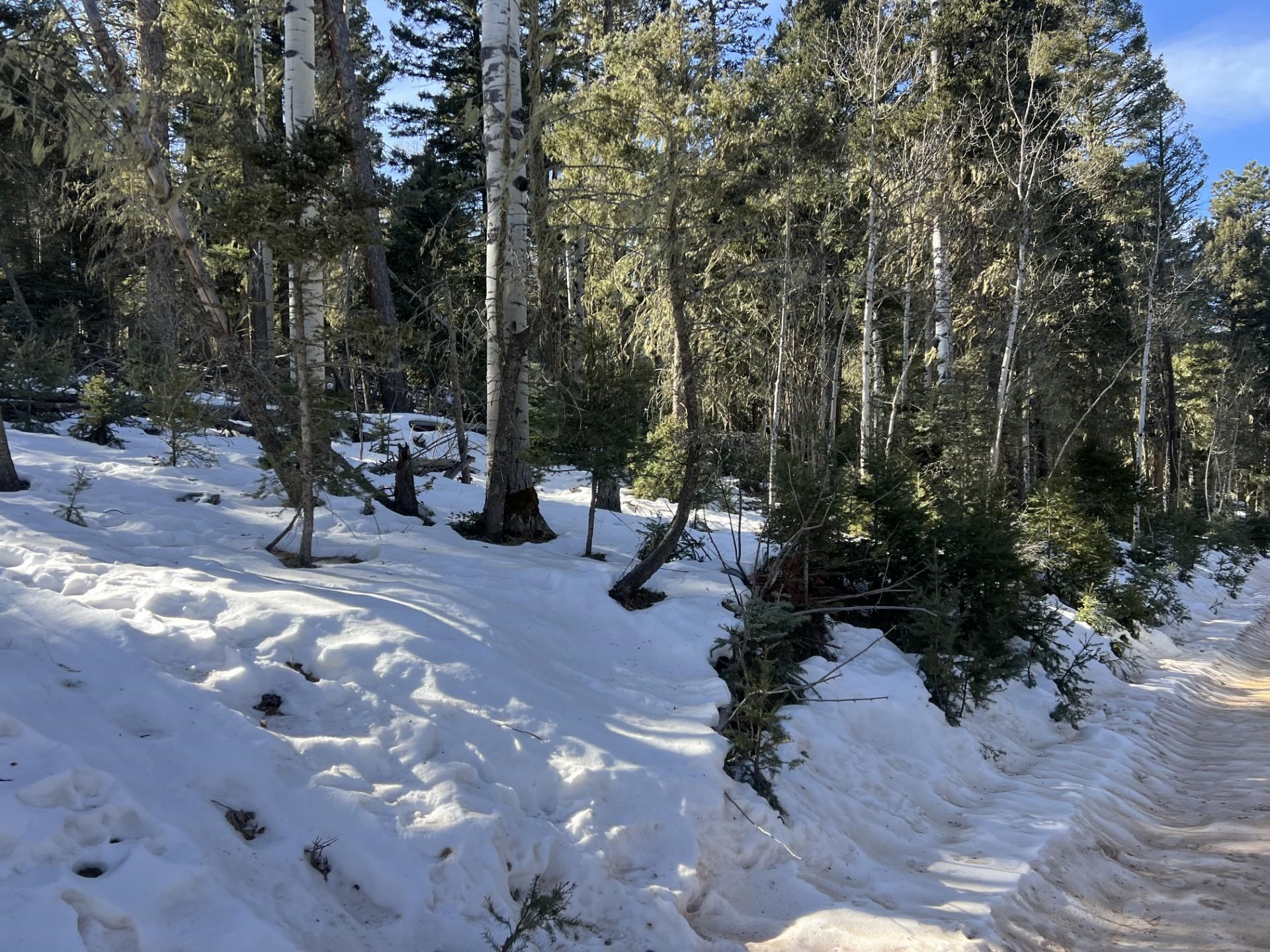 Lot 132 Rio Grande Terrace, Angel Fire, New Mexico image 6