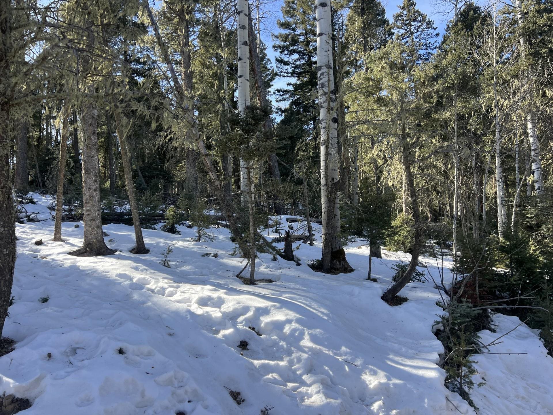 Lot 132 Rio Grande Terrace, Angel Fire, New Mexico image 5