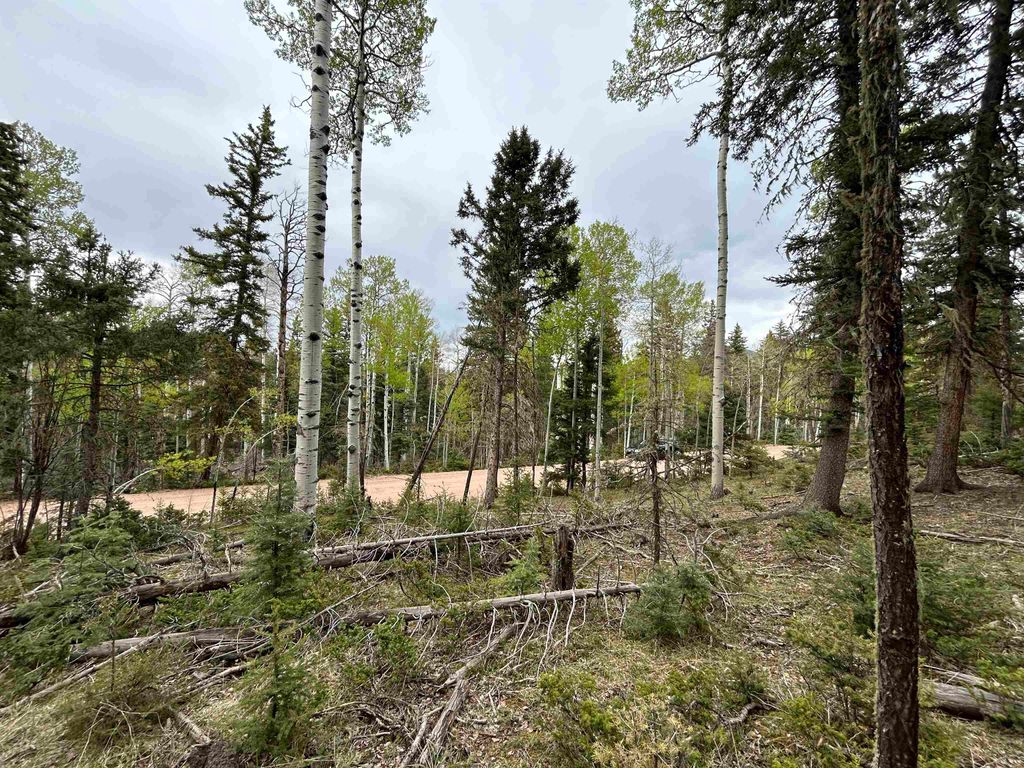 Photo of Lot 132 Rio Grande Terrace, Angel Fire, NM 87710 (MLS # 112692)