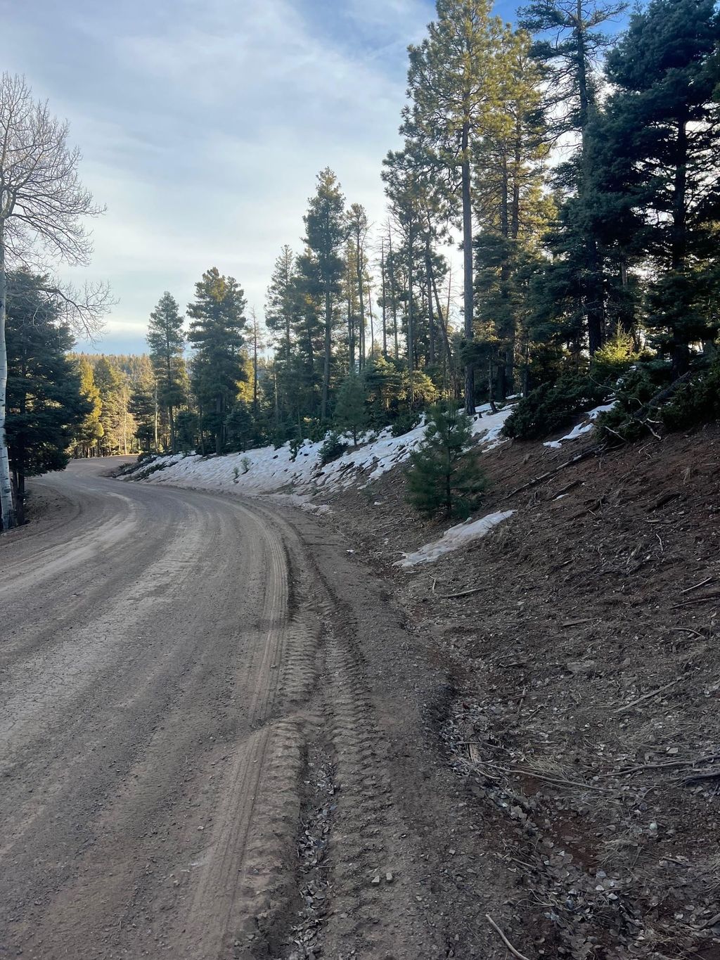Photo of lot 352 Vail Loop, Angel Fire, NM 87710 (MLS # 114331)