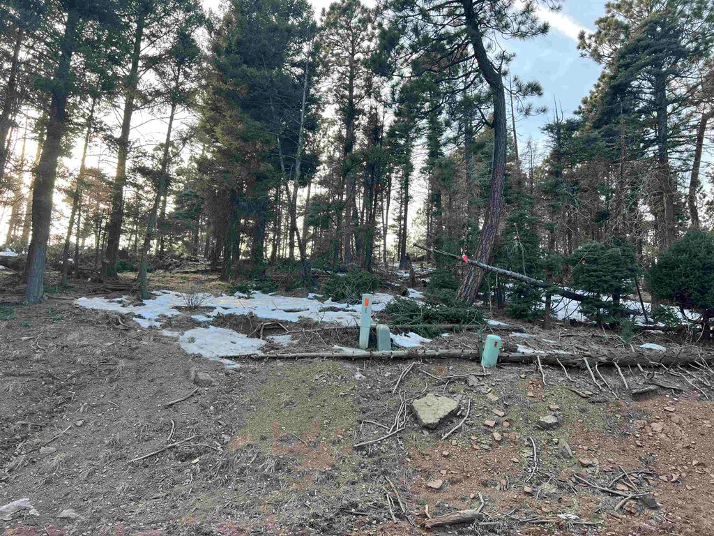 Photo of lot 352 Vail Loop, Angel Fire, NM 87710 (MLS # 114331)
