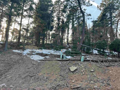 Photo of lot 352 Vail Loop, Angel Fire, NM 87710 (MLS # 114331)