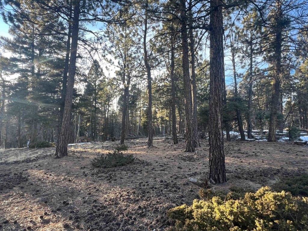 Photo of lot 352 Vail Loop, Angel Fire, NM 87710 (MLS # 114331)