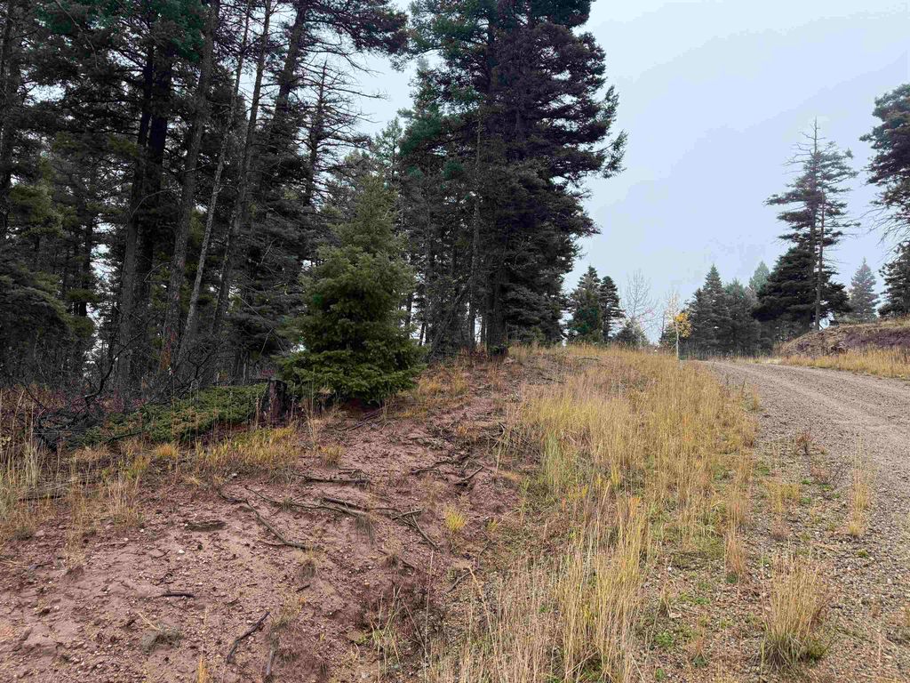 Photo of Lot 223 Steamboat Ln, Angel Fire, NM 87710 (MLS # 114257)