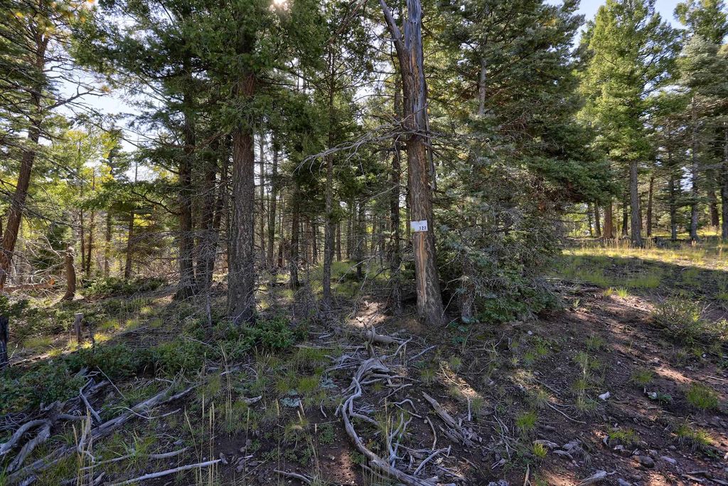 Photo of Lot 323 Vail Overlook S, Angel Fire, NM 87710 (MLS # 114077)