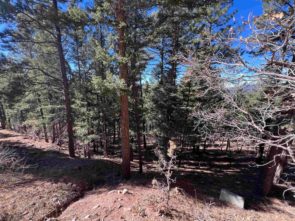 Photo of Lot 156 Back Basin Rd, Angel Fire, NM 87710 (MLS # 114233)