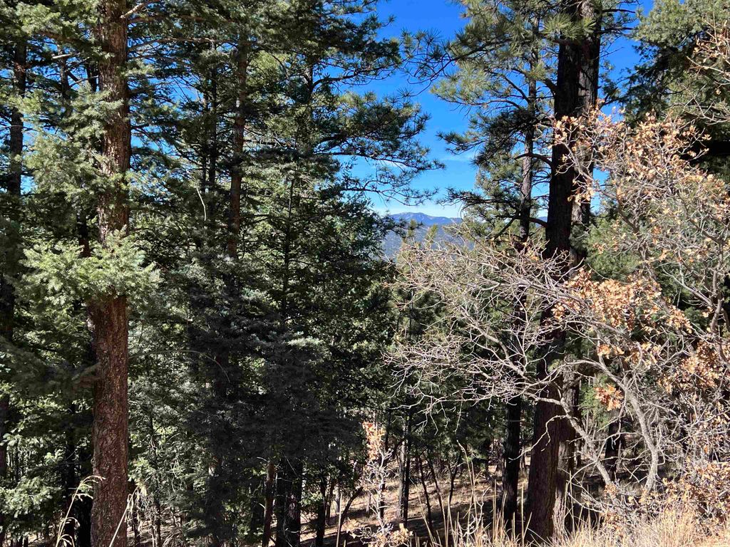 Photo of Lot 156 Back Basin Rd, Angel Fire, NM 87710 (MLS # 114233)
