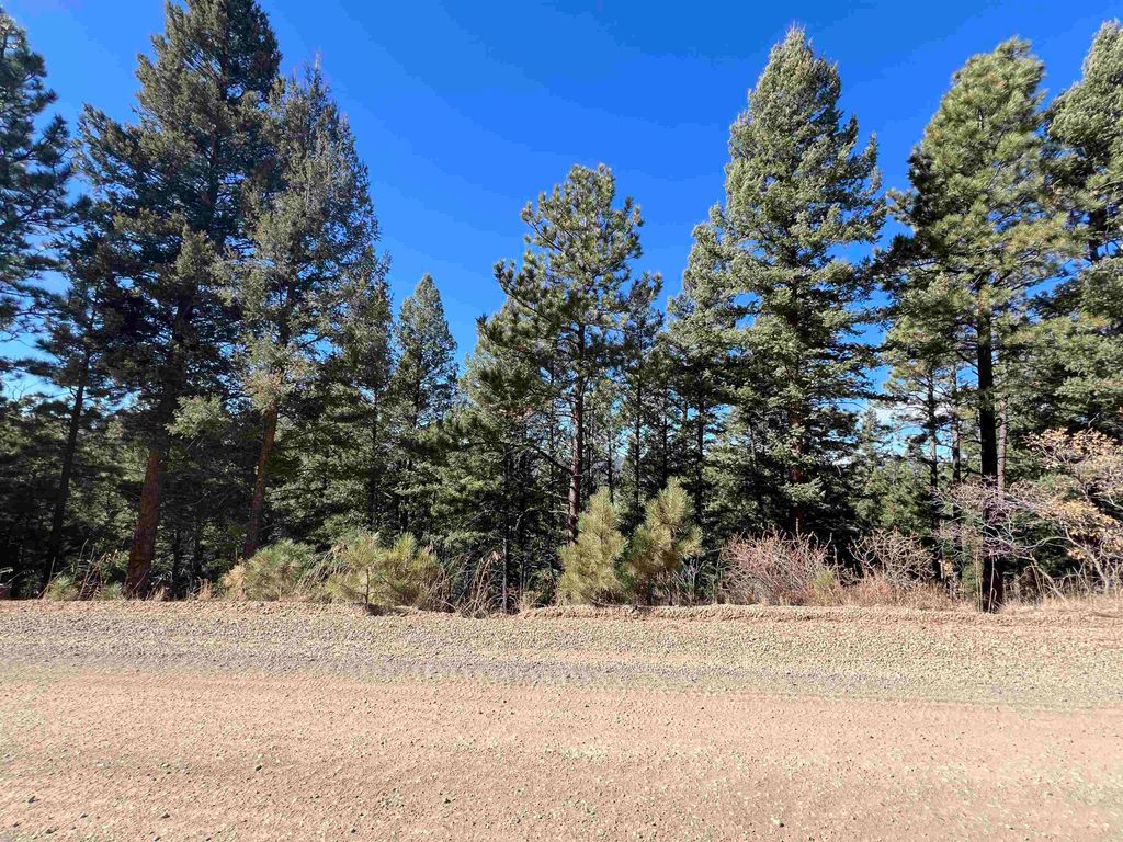 Photo of Lot 156 Back Basin Rd, Angel Fire, NM 87710 (MLS # 114233)