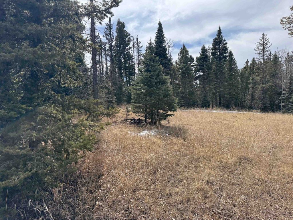 Photo of Lot 83 Elk Meadow, Angel Fire, NM 87710 (MLS # 114650)