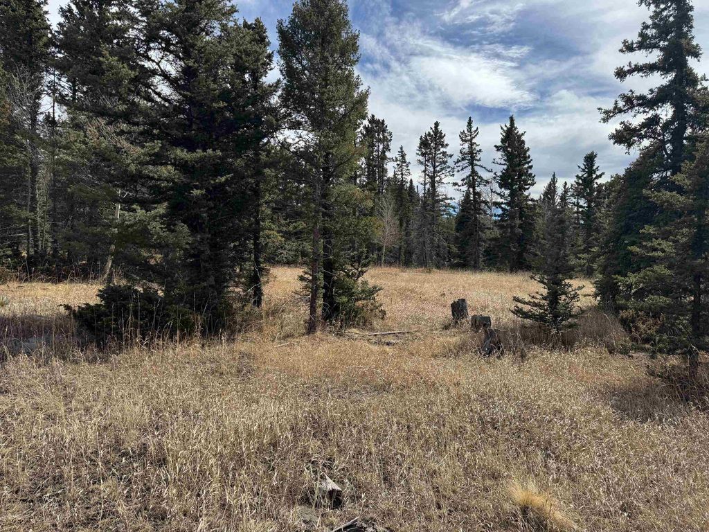 Photo of Lot 83 Elk Meadow, Angel Fire, NM 87710 (MLS # 114650)