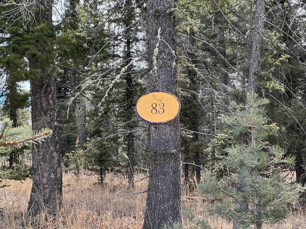 Photo of Lot 83 Elk Meadow, Angel Fire, NM 87710 (MLS # 114650)