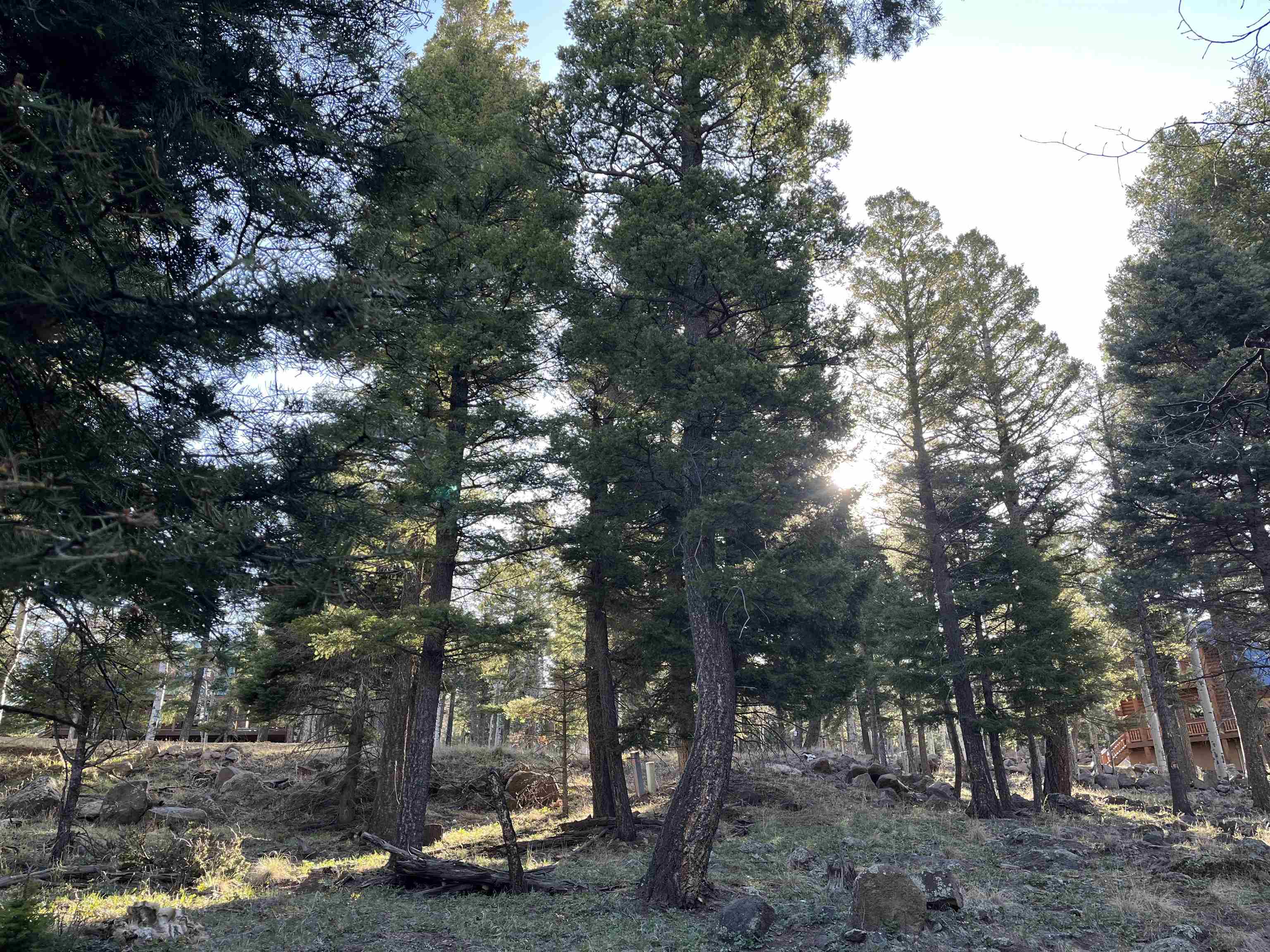 Lot 1443 Sunrise Overlook, Angel Fire, New Mexico image 1