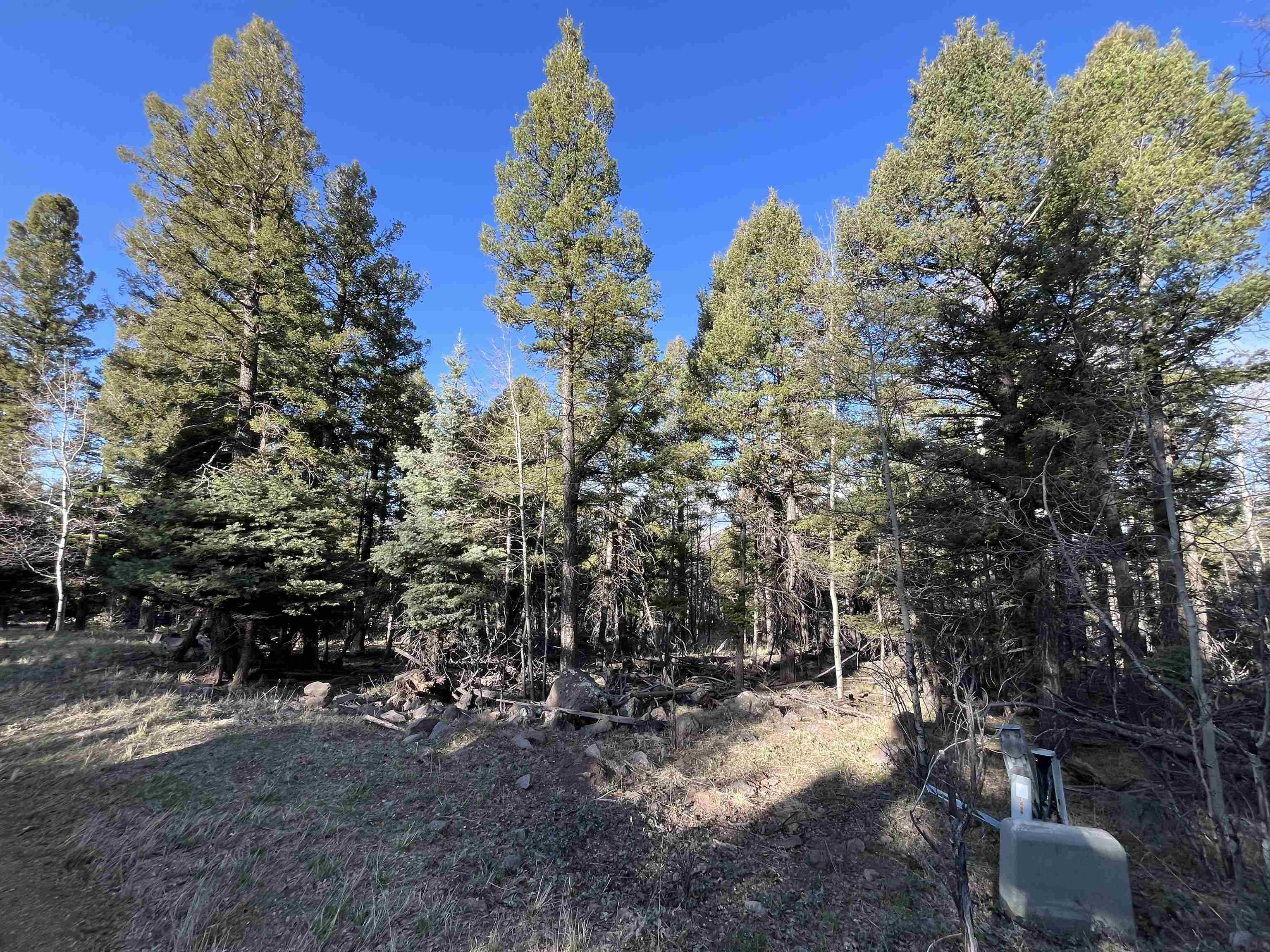 Lot 1443 Sunrise Overlook, Angel Fire, New Mexico image 2