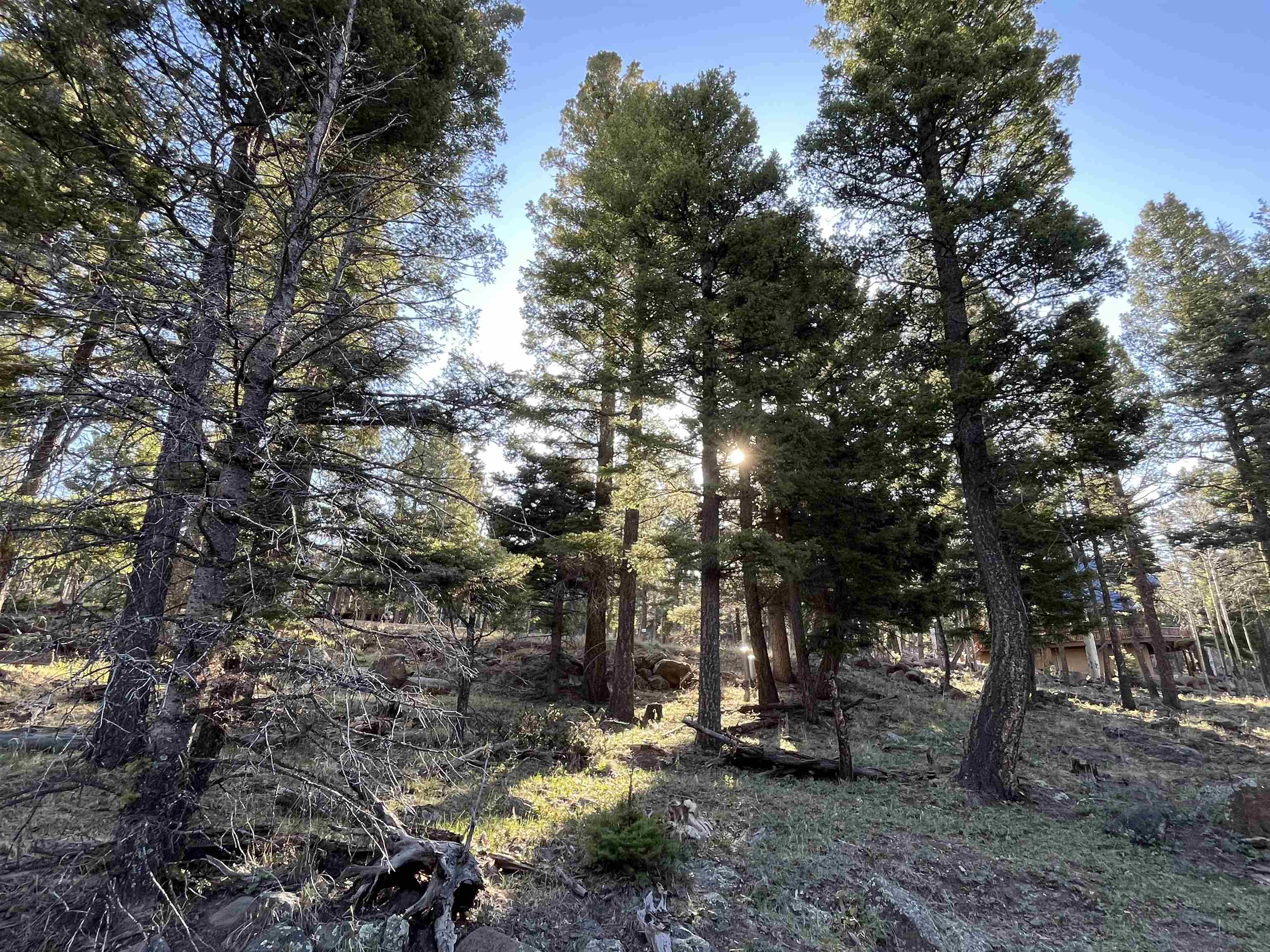 Lot 1443 Sunrise Overlook, Angel Fire, New Mexico image 10