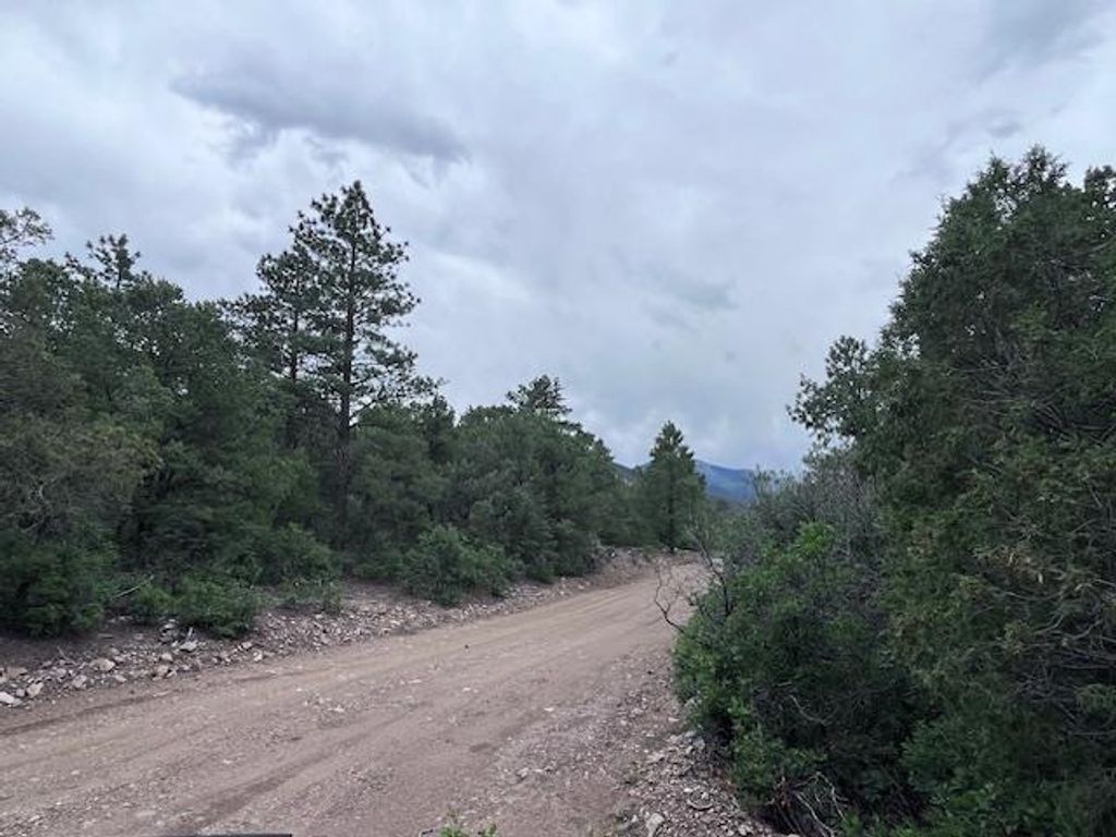 Photo of Lot 62 Upper Pinabete, Questa, NM 87556 (MLS # 113683)