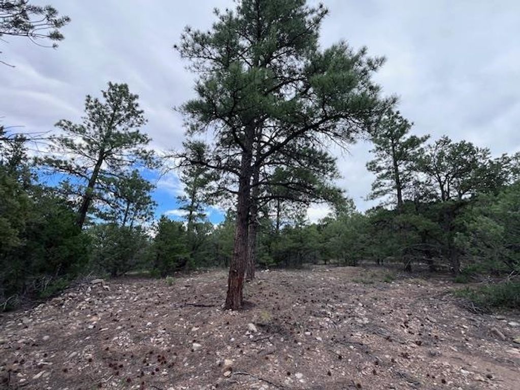 Photo of Lot 62 Upper Pinabete, Questa, NM 87556 (MLS # 113683)