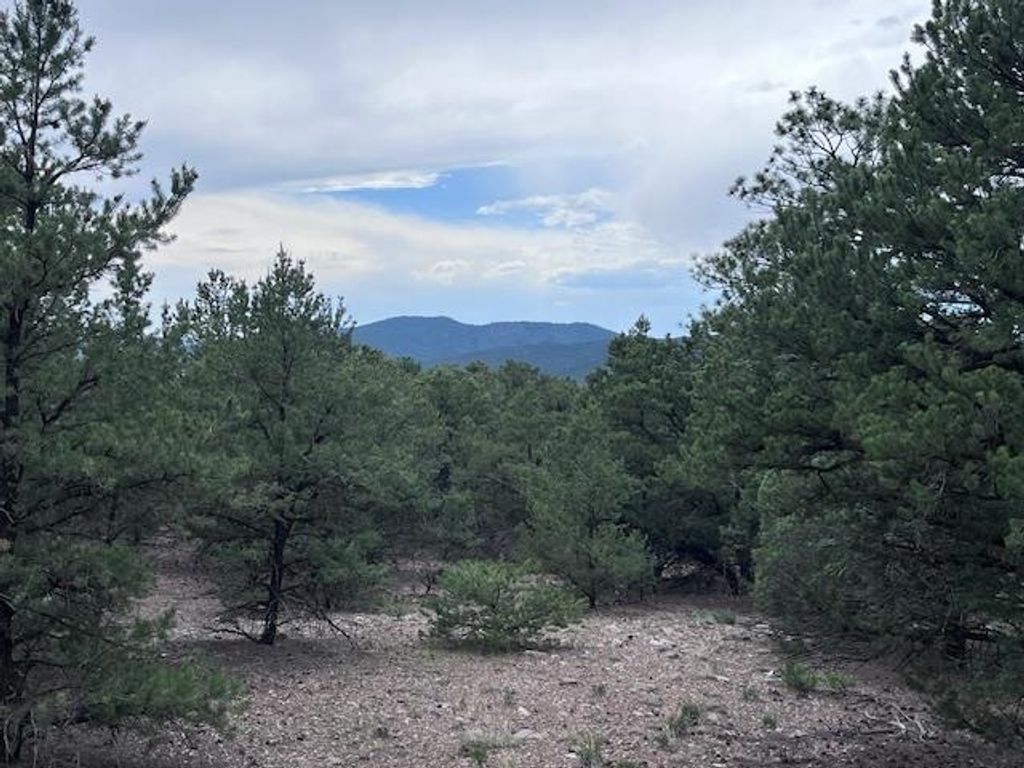 Photo of Lot 62 Upper Pinabete, Questa, NM 87556 (MLS # 113683)