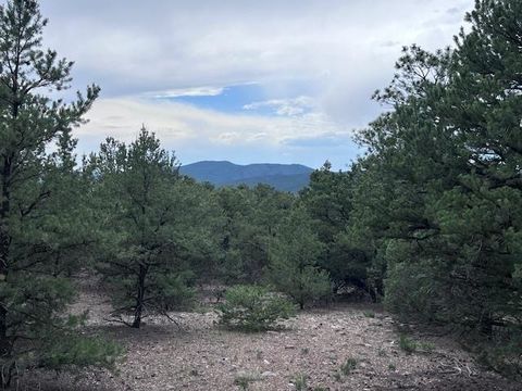Photo of Lot 62 Upper Pinabete, Questa, NM 87556 (MLS # 113683)