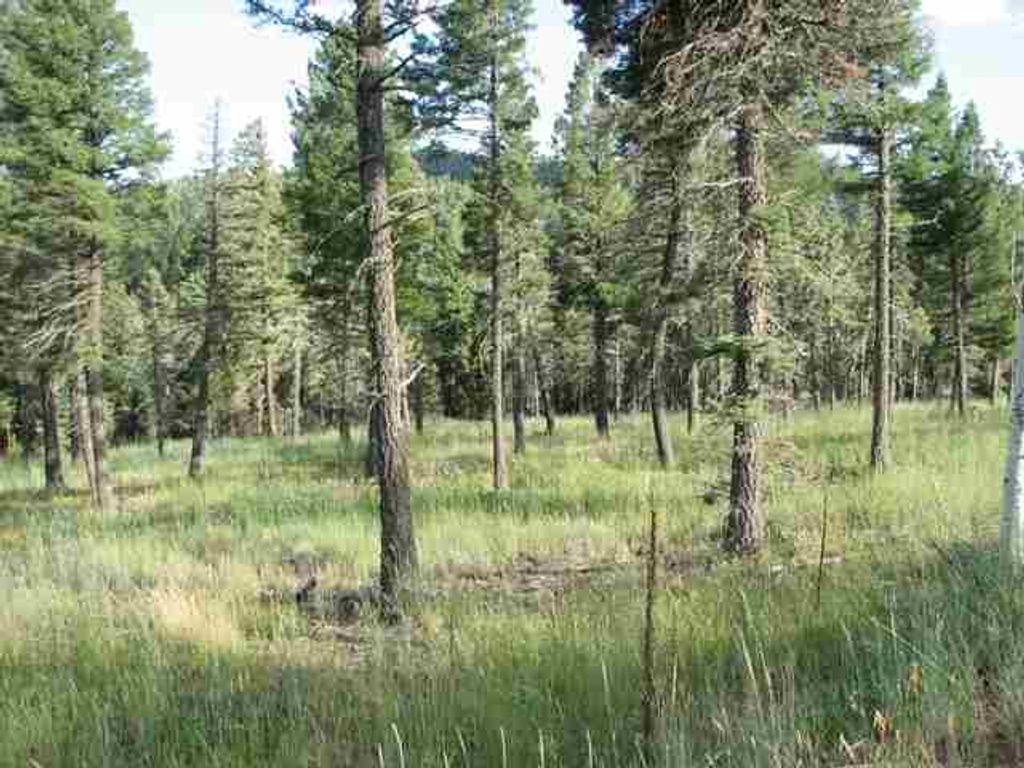 Photo of Lot 11 Palo Flechado Ridge Road, Angel Fire, NM 87710 (MLS # 103441)
