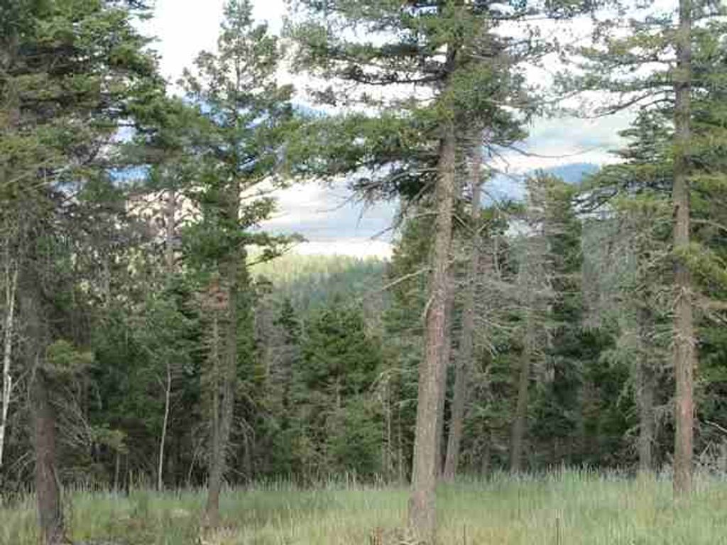 Photo of Lot 11 Palo Flechado Ridge Road, Angel Fire, NM 87710 (MLS # 103441)