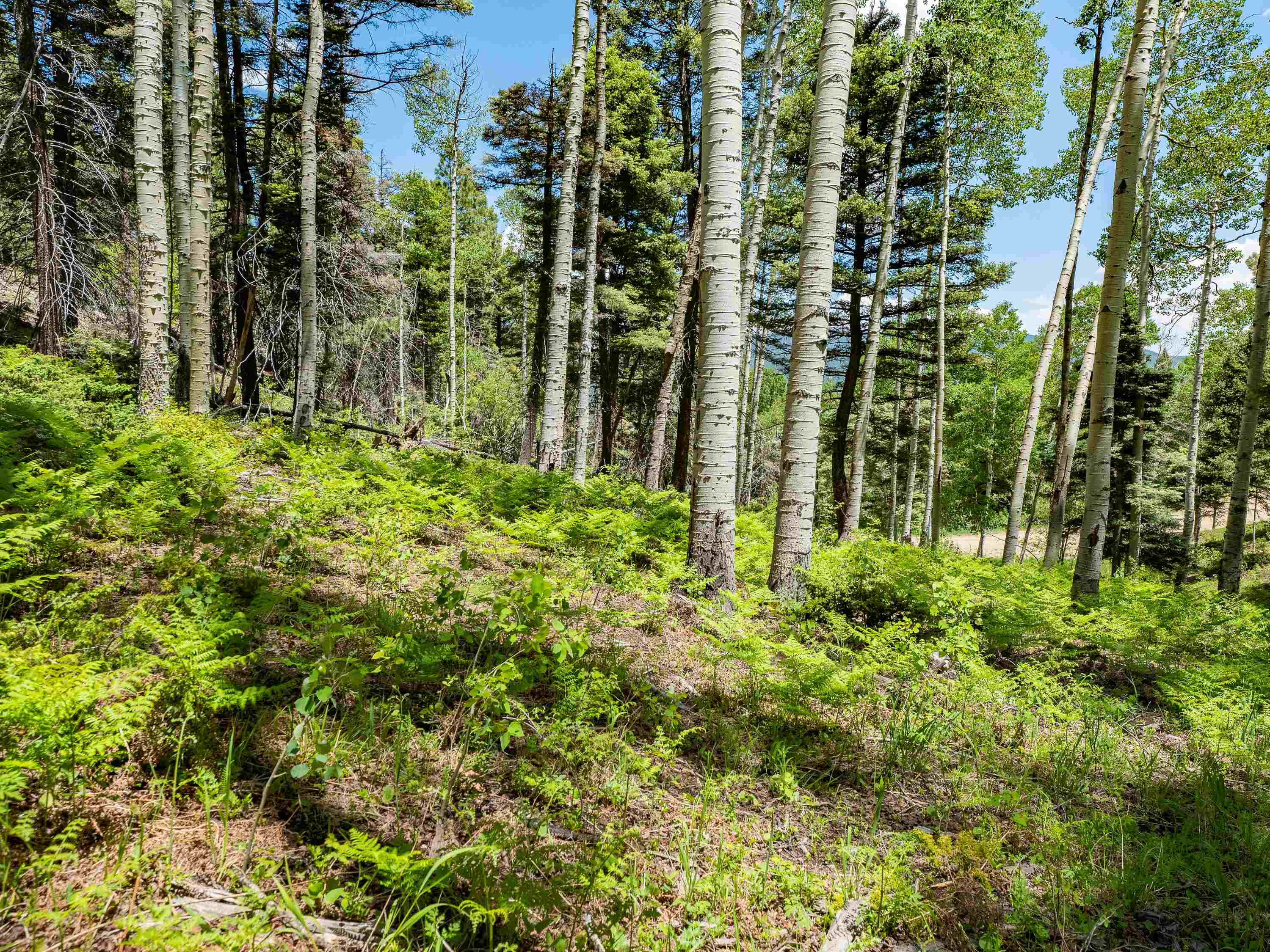 Angel Fire, New Mexico 87710, United States, ,Land,Active,163445