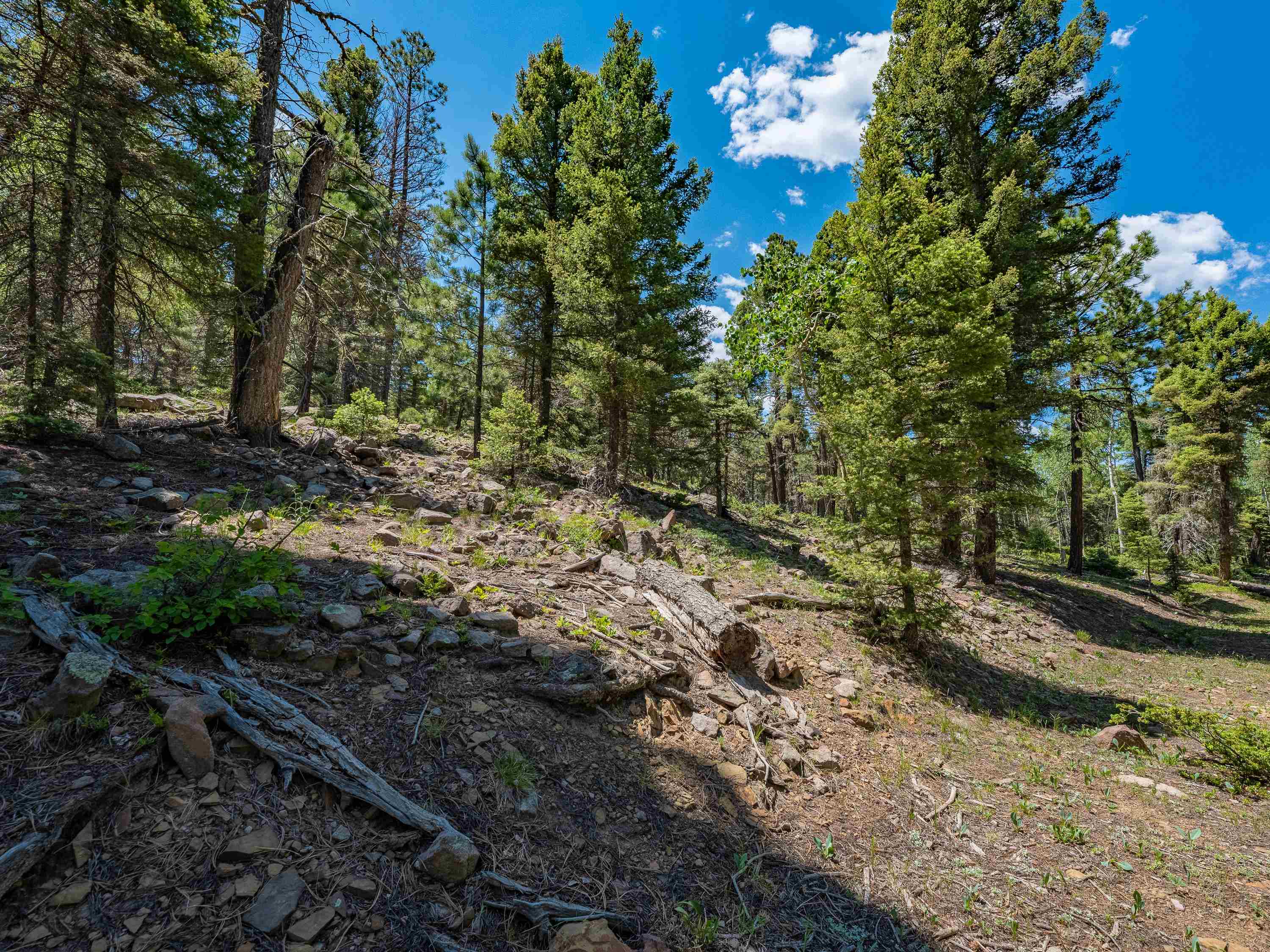Angel Fire, New Mexico 87710, United States, ,Land,Active,163445