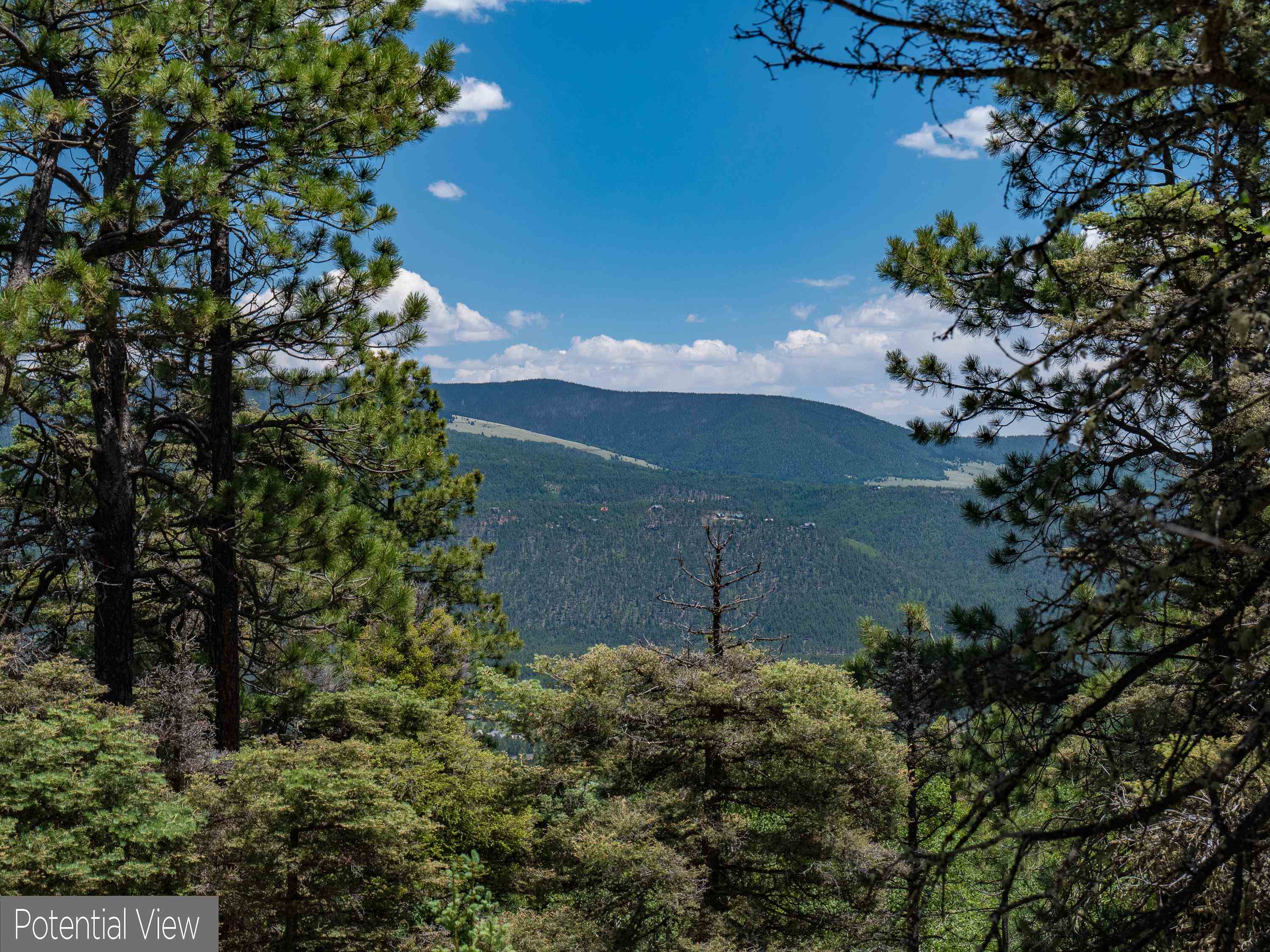 Angel Fire, New Mexico 87710, United States, ,Land,Active,163445