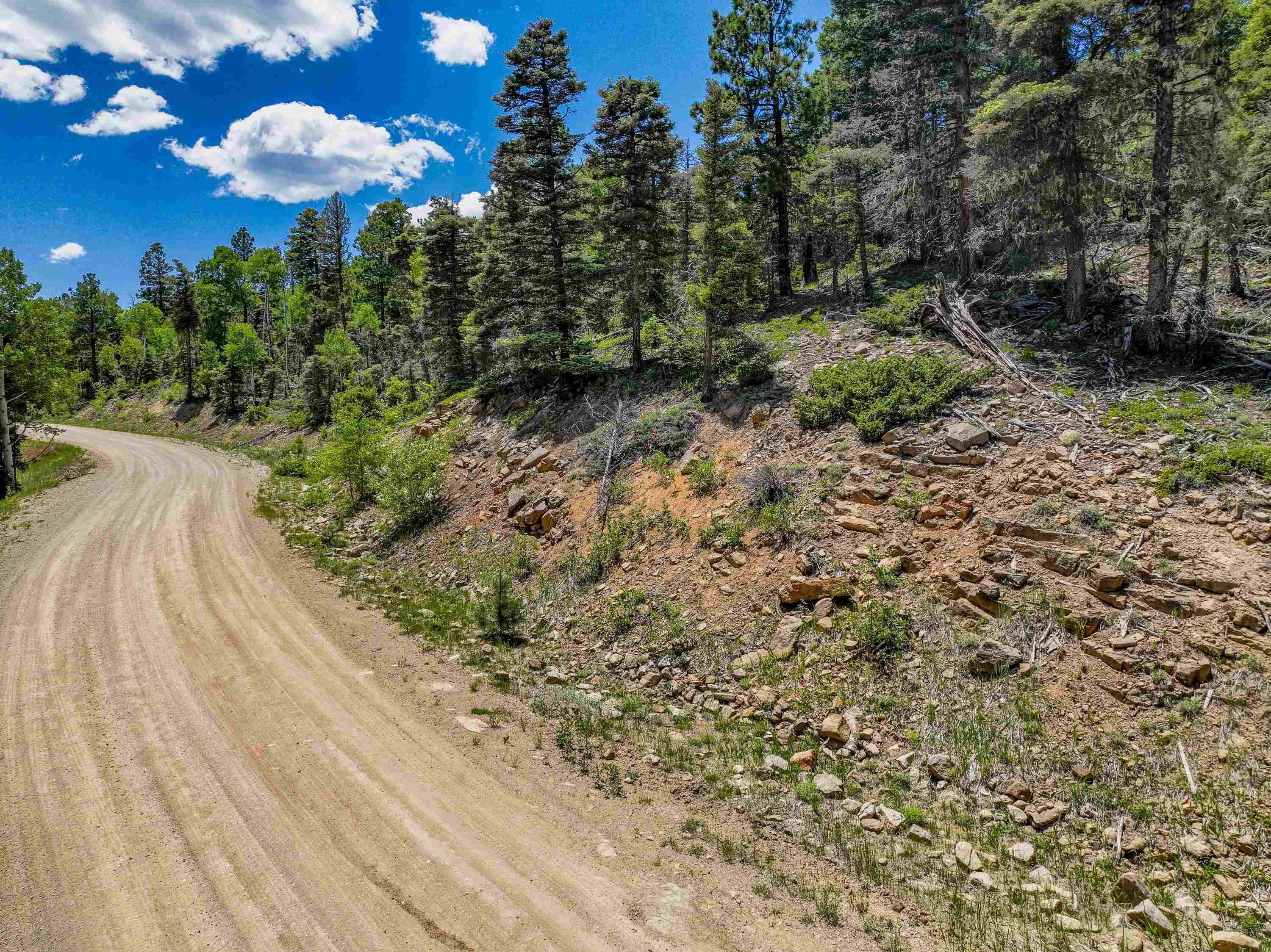 Angel Fire, New Mexico 87710, United States, ,Land,Active,163445