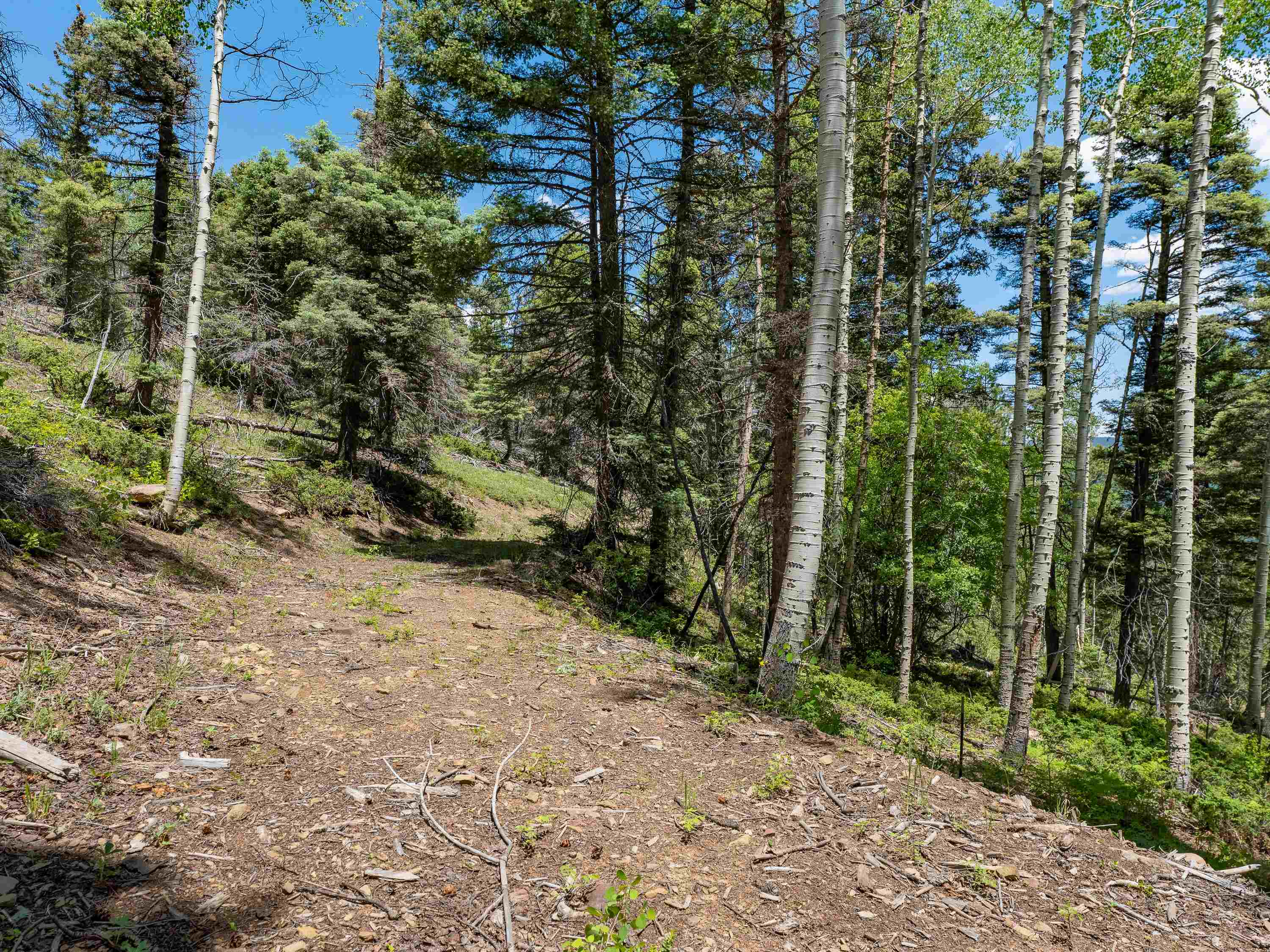 Angel Fire, New Mexico 87710, United States, ,Land,Active,163445