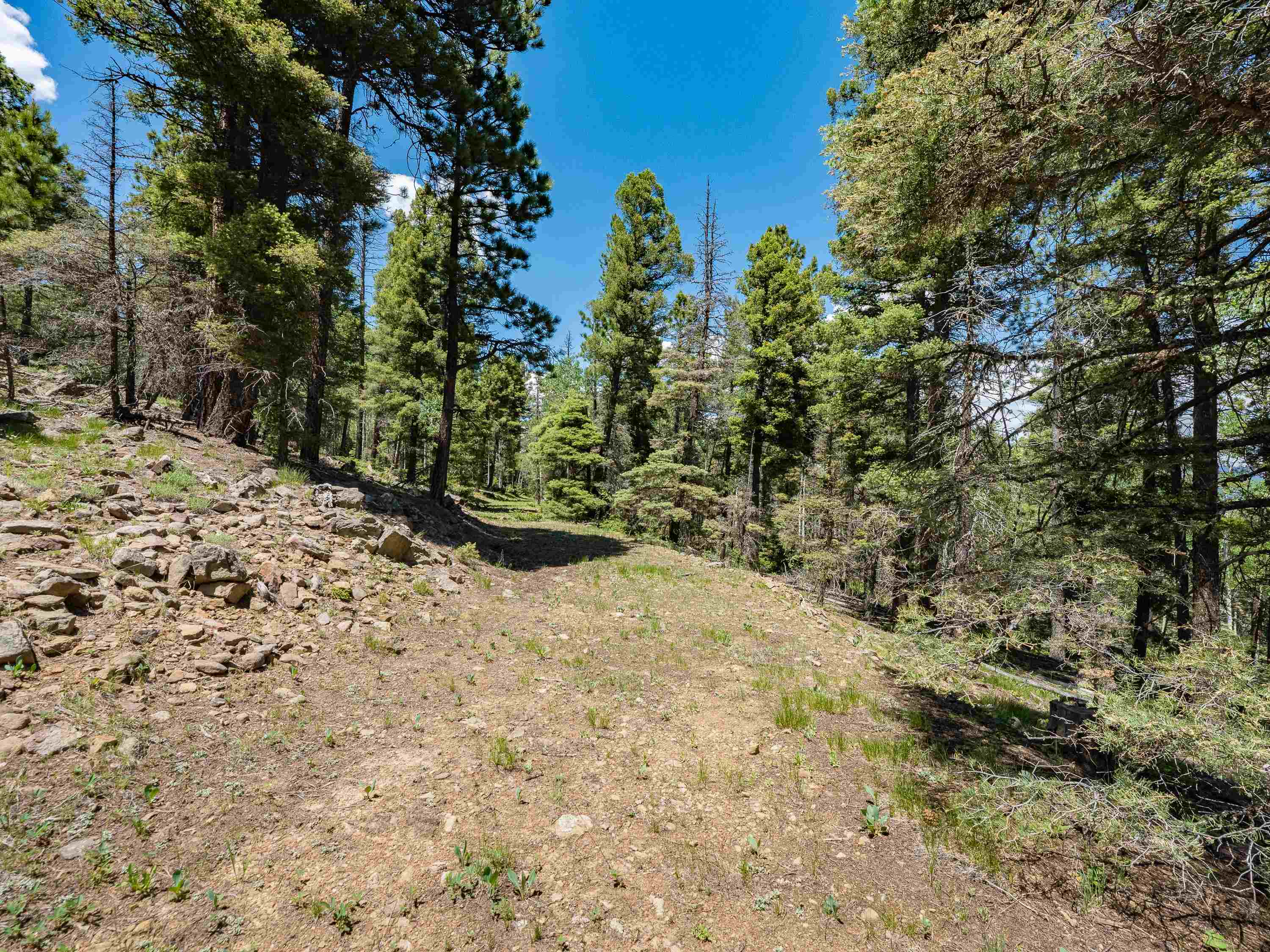 Angel Fire, New Mexico 87710, United States, ,Land,Active,163445