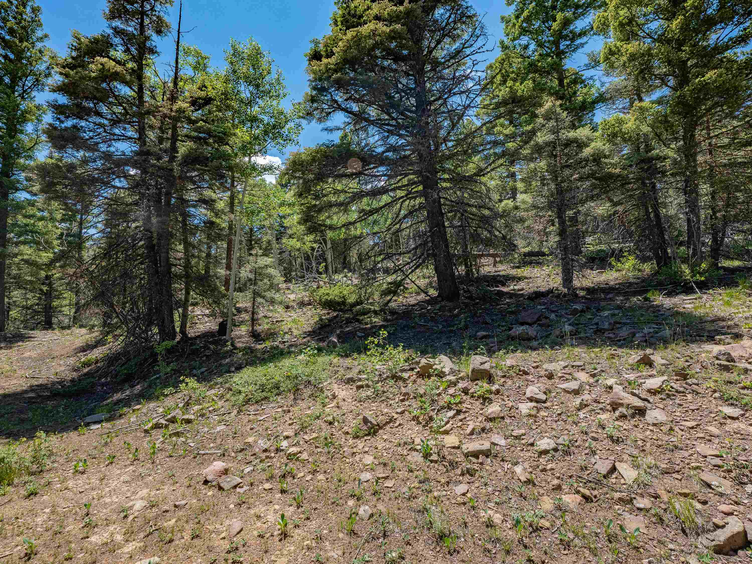 Angel Fire, New Mexico 87710, United States, ,Land,Active,163445